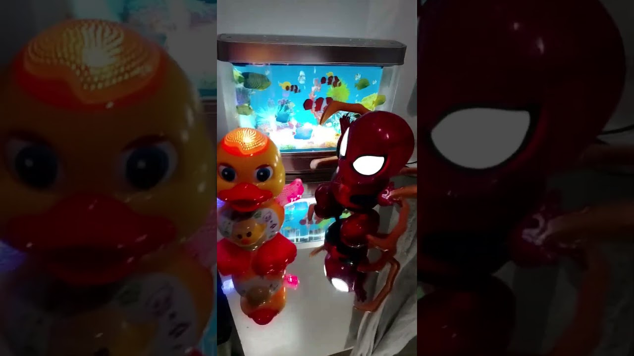 #cuteducktoy & Spiderman Digi digi hey #dance #viralshort #shorts #trending