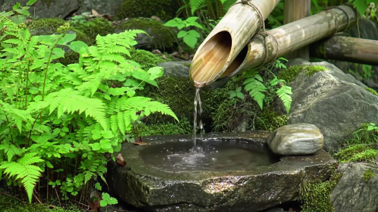 Shower Water Ambience & Soft Music — Drift Into Deep Relaxation