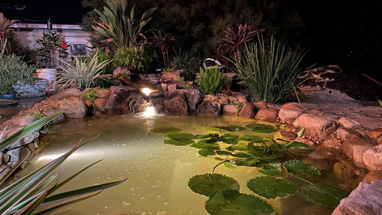 Dream pond build, 8x11 ecosystem pond.