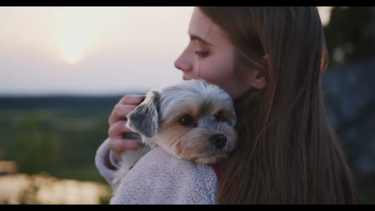 These pets are so cute