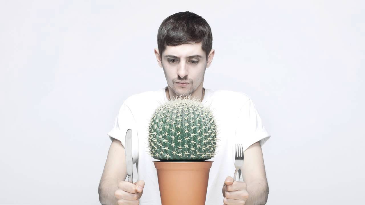 Bok Bok - MJT