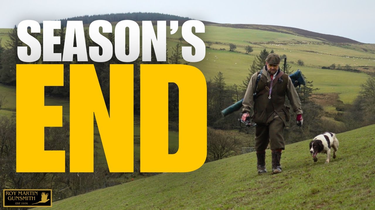 As The Uk Game Season Comes To An End | January Pheasants In Wales