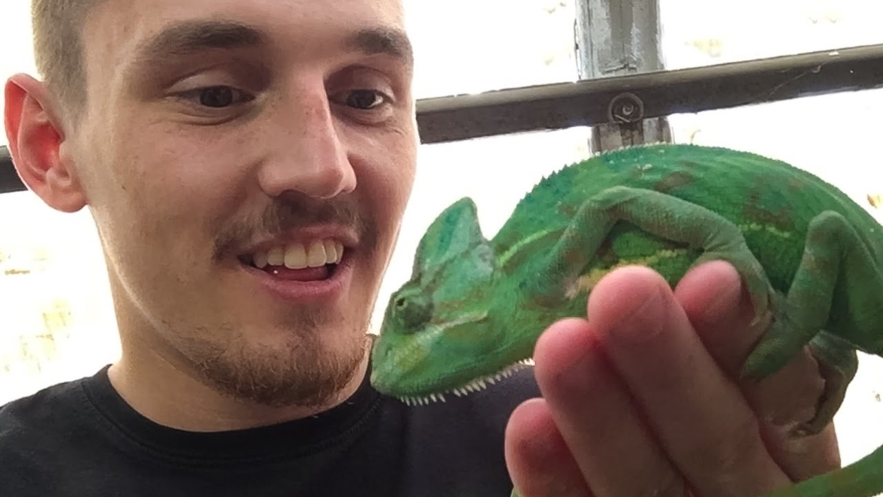 FEEDING PIRANHAS & CROCODILES!