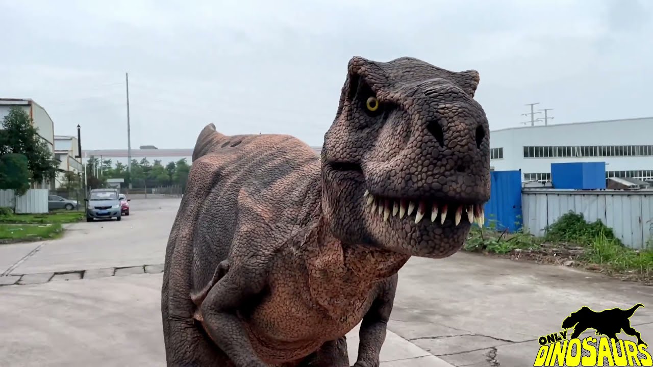Stunning T-Rex Halloween Costume for Sale | Dinosaur Costume