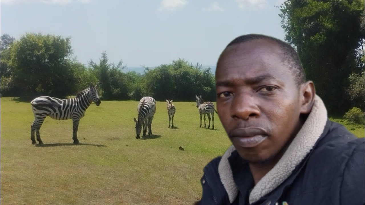 How I See Animals Masaai Mara village today