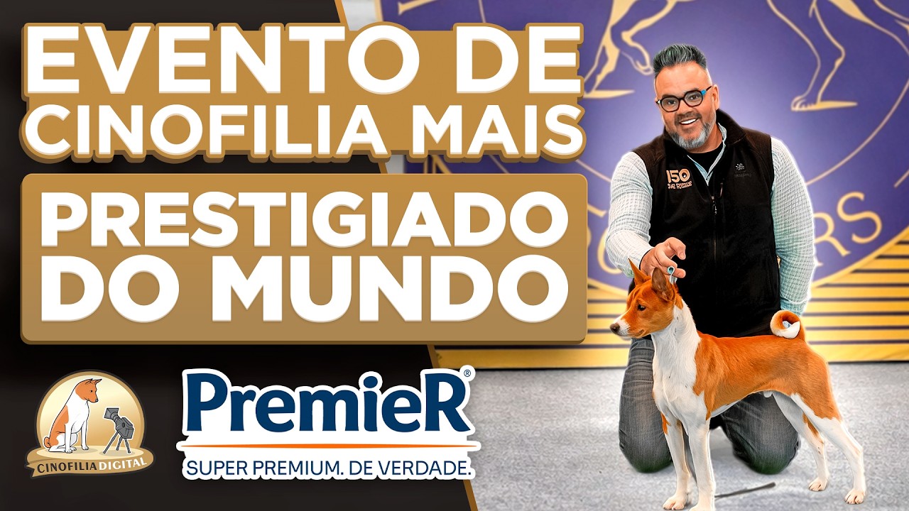 Westminster 150: A Maior Competição de Cães do Planeta | Cinofilia Digital