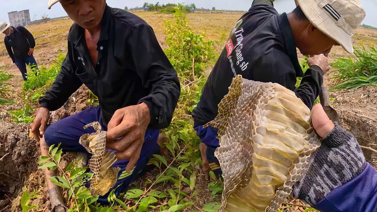 Không uổng công cho cả ngày lặn lội | TGSB #592
