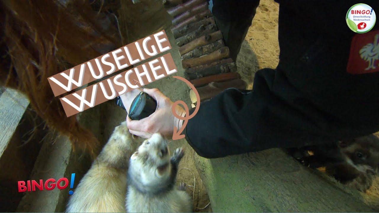 Winterlicher Alltag im Otterzentrum