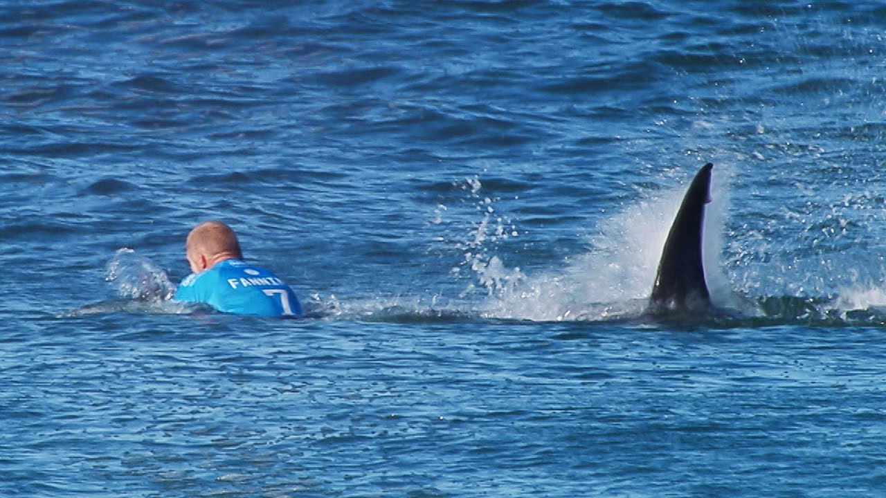 How Common Are Shark Attacks in Australia?
