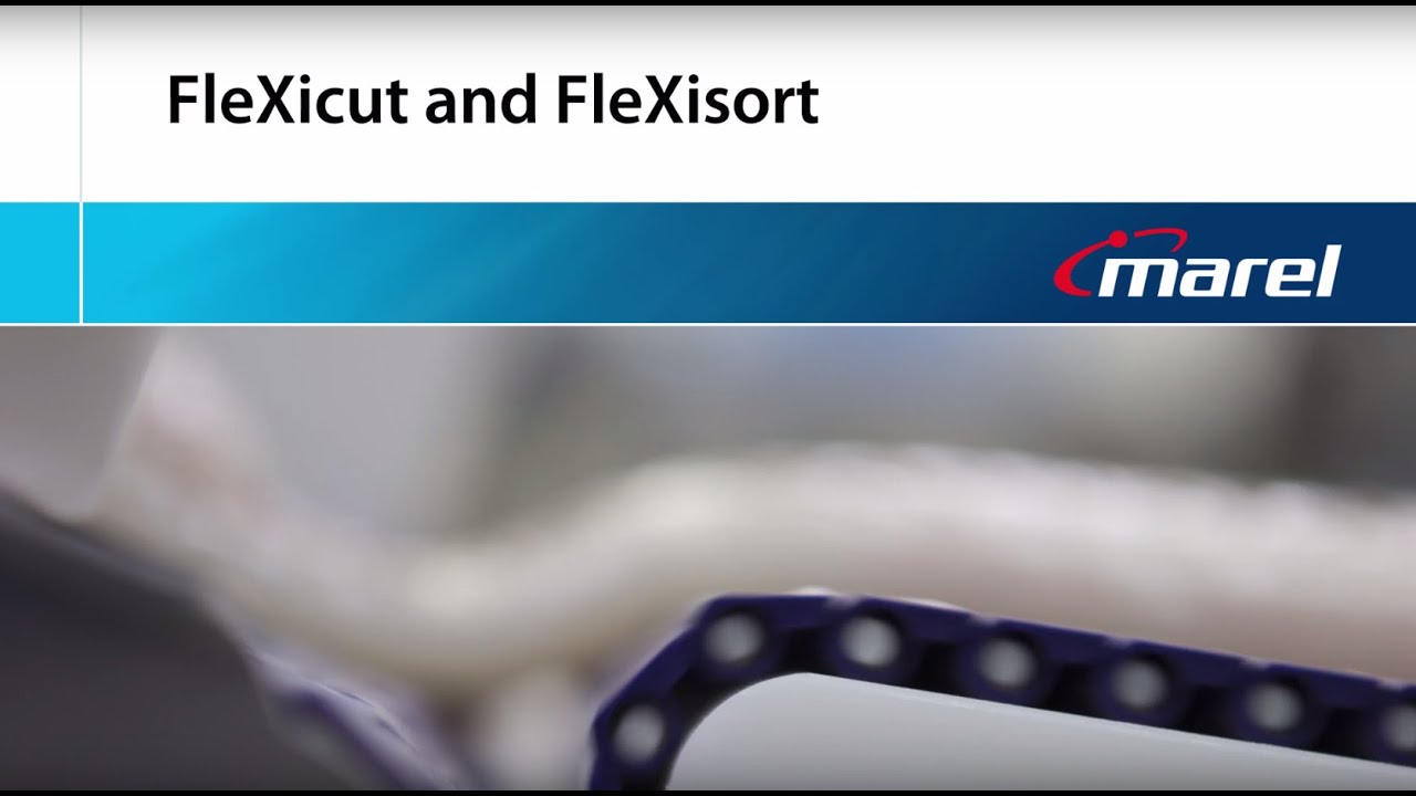 FleXicut &ndash; The new generation in whitefish processing