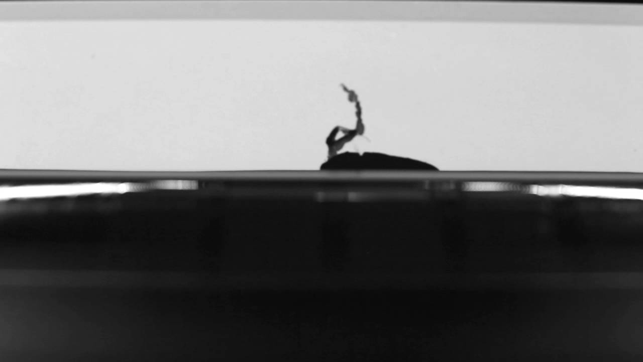 Wolfgang Tillmans - Make It Up As You Go Along (Daniel Wang & J.E.E.P. Remix)