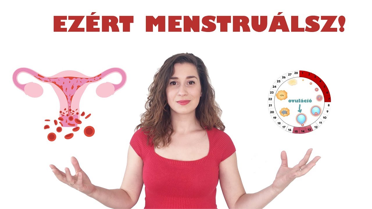 Ezért menstruálsz | A menstruációs ciklus működése | hormonmentes