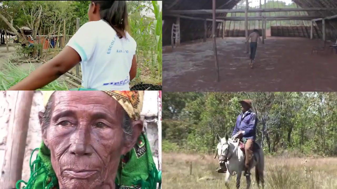 Série especial de vídeos: “Povos do Cerrado”