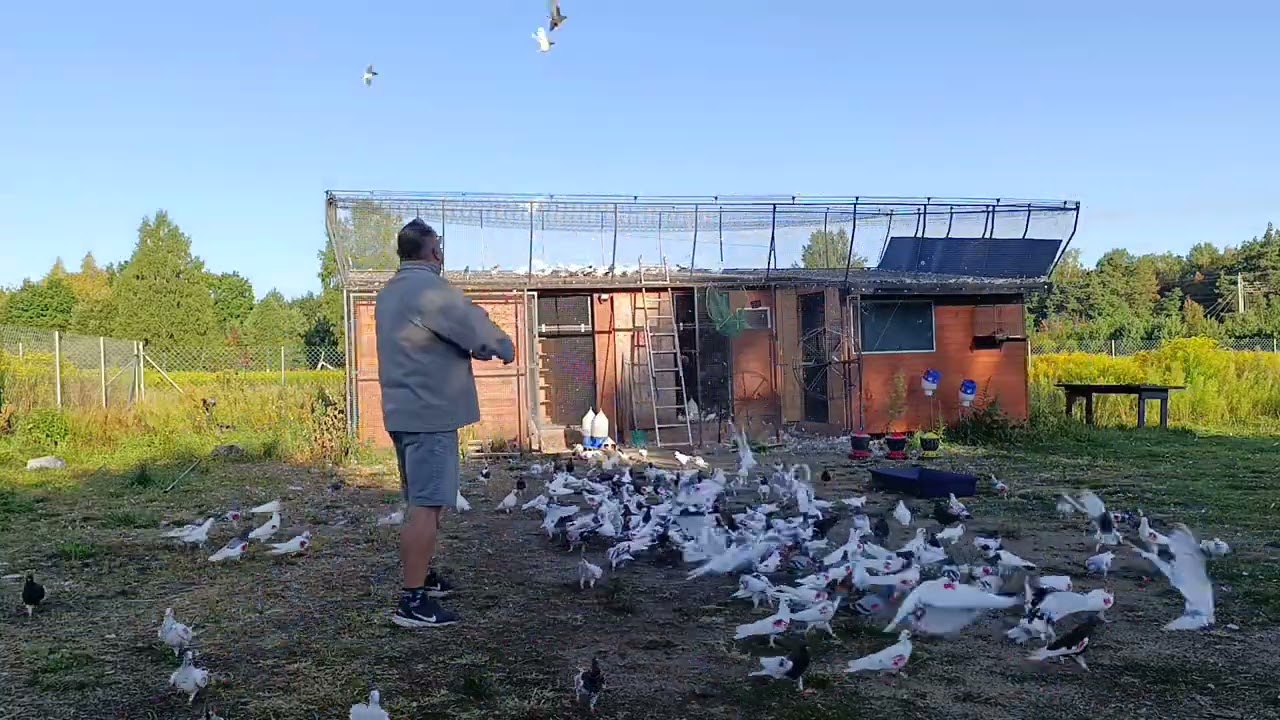A tak wygląda o 7 rano. Pozdrawiam 🔥
