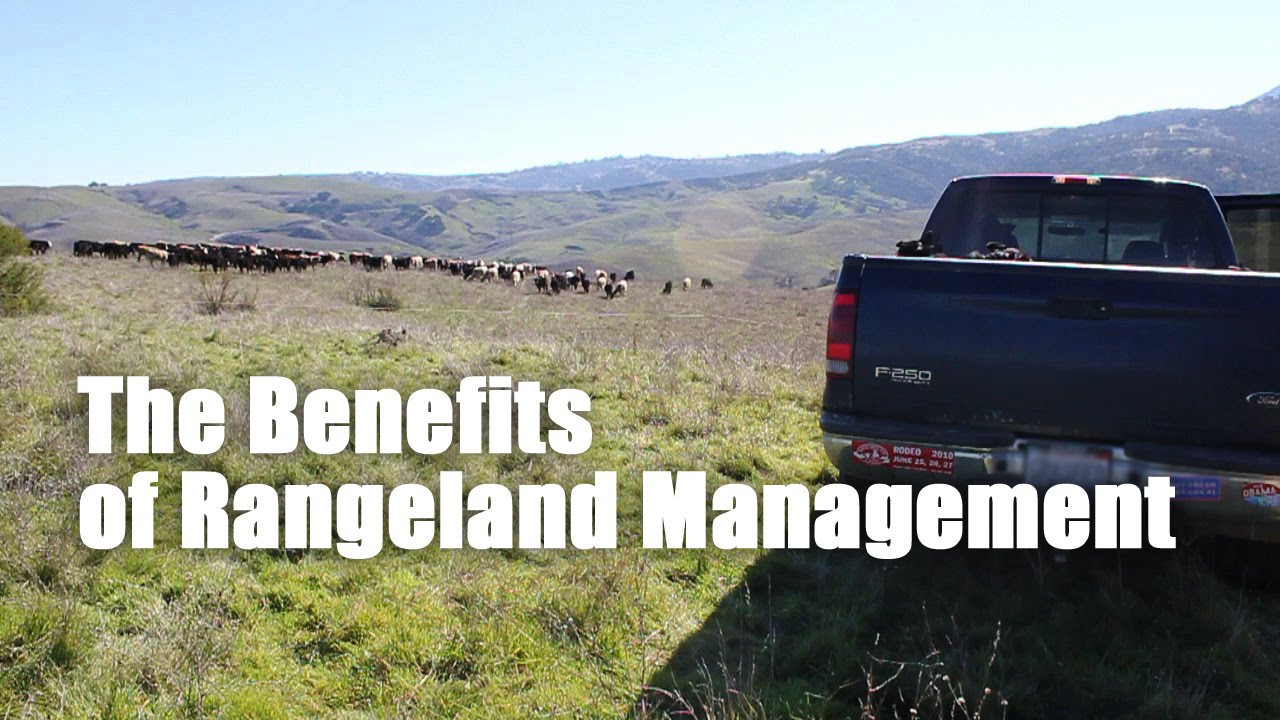 The Benefits of Rangeland Management