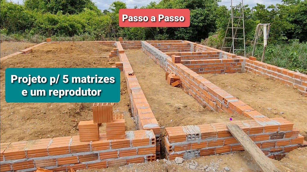 Um presente do Canal Granja Ribeiro para vcs inscritos.