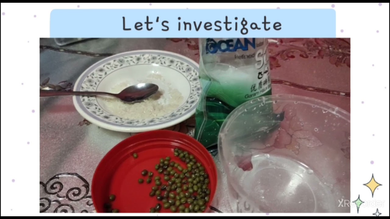 Science year 2 mixture.  Soluble and insoluble materials