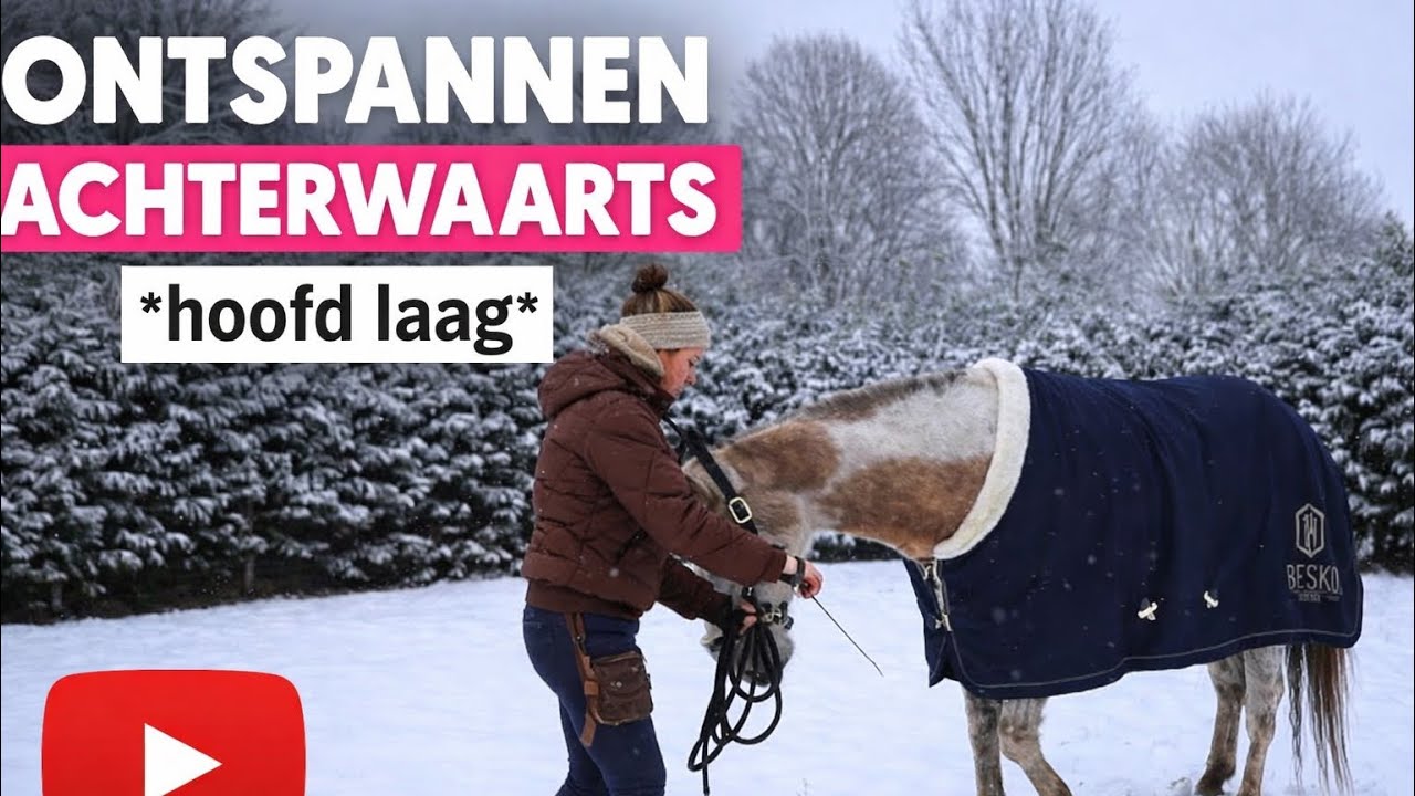Hoe leer ik mijn paard achterwaarts met de hoofd laag 