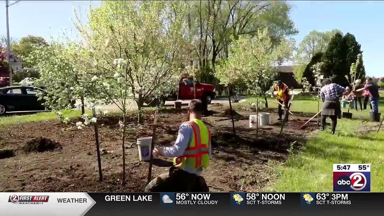 Community orchard will offer free, fresh fruit