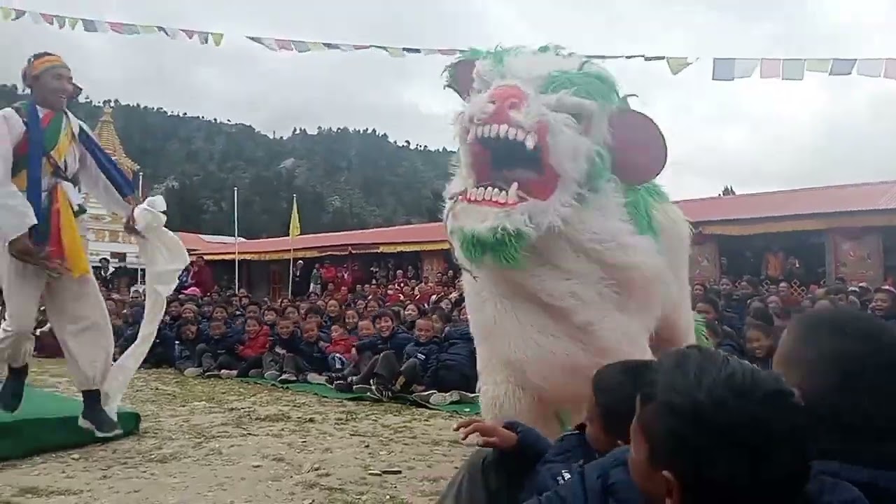 सामा गाउँमा रहेको खेन्पो पासाङ तेन्जिङ गुम्बाको उद्घाटन गरिएको भेला भएका भिडियोहरु part(2)31/8/2023/