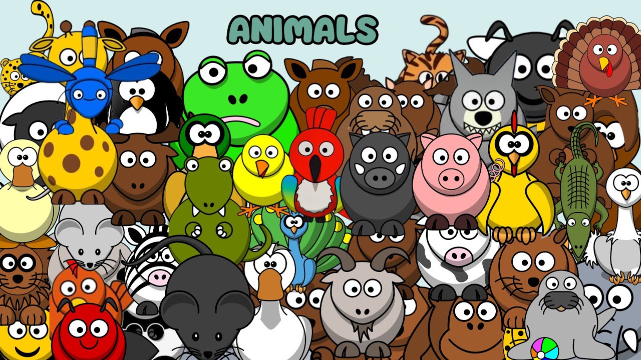 Animals name for children : Dog, bear, cat, rabbit, parrots, chicken, lion