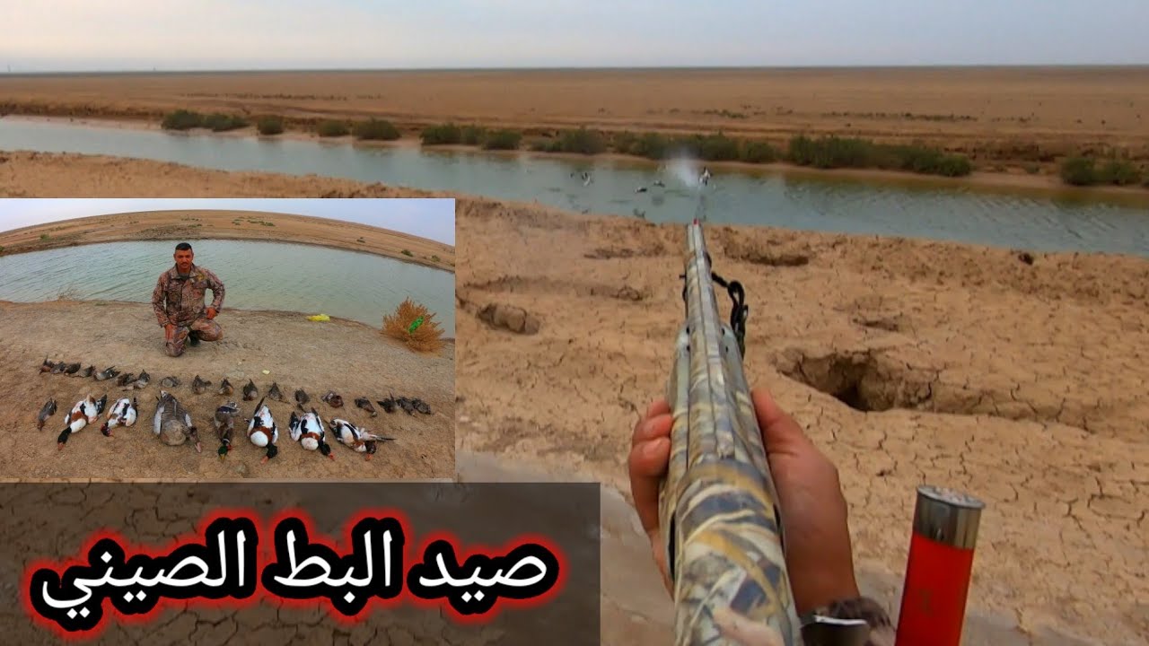 شوف المتعة صيد الوز الصيني بس لا تنسه الاشتراك بالقناة تحياتي لكل المشاهدين