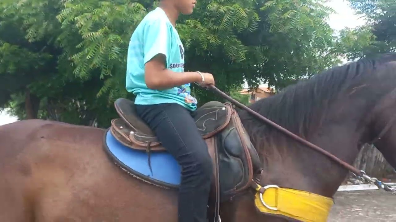 Andando na morena Apolo