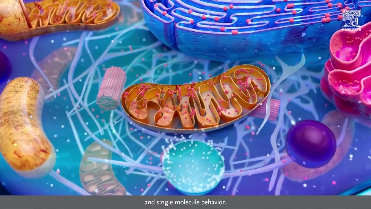 Discover Mechanobiology in Medicine Journal