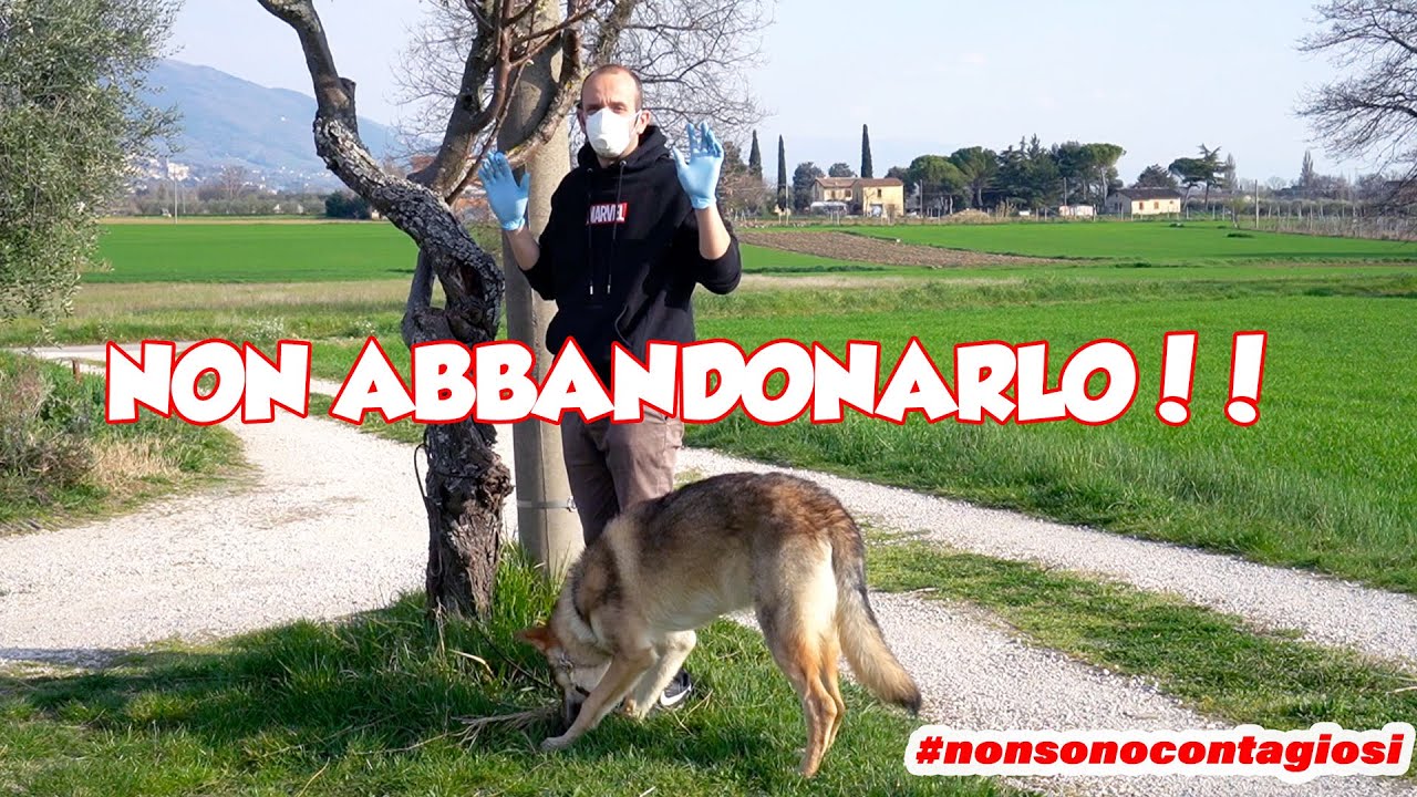NON ABBANDONARE IL CANE!