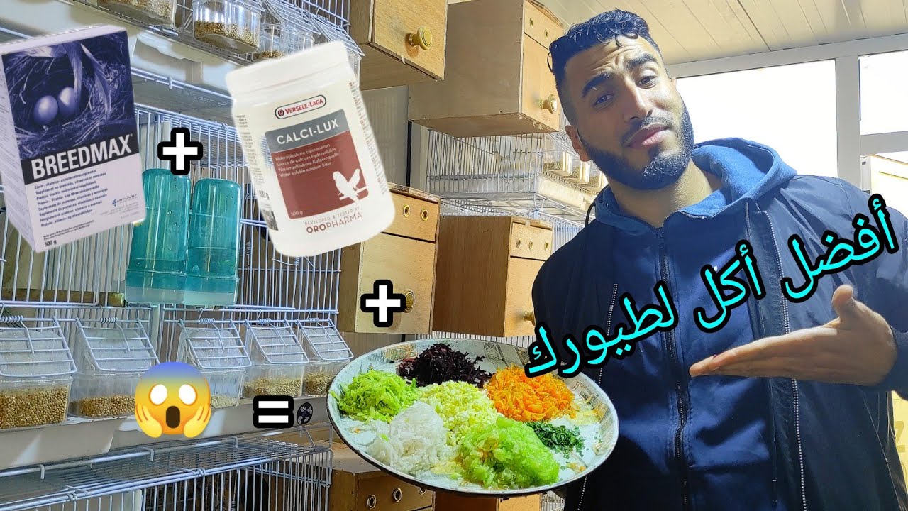 احسن خلطة للطيور مكونة من الخضر  و (BREEDMAX)/(CALCI-LUX) خلطة صحية %100