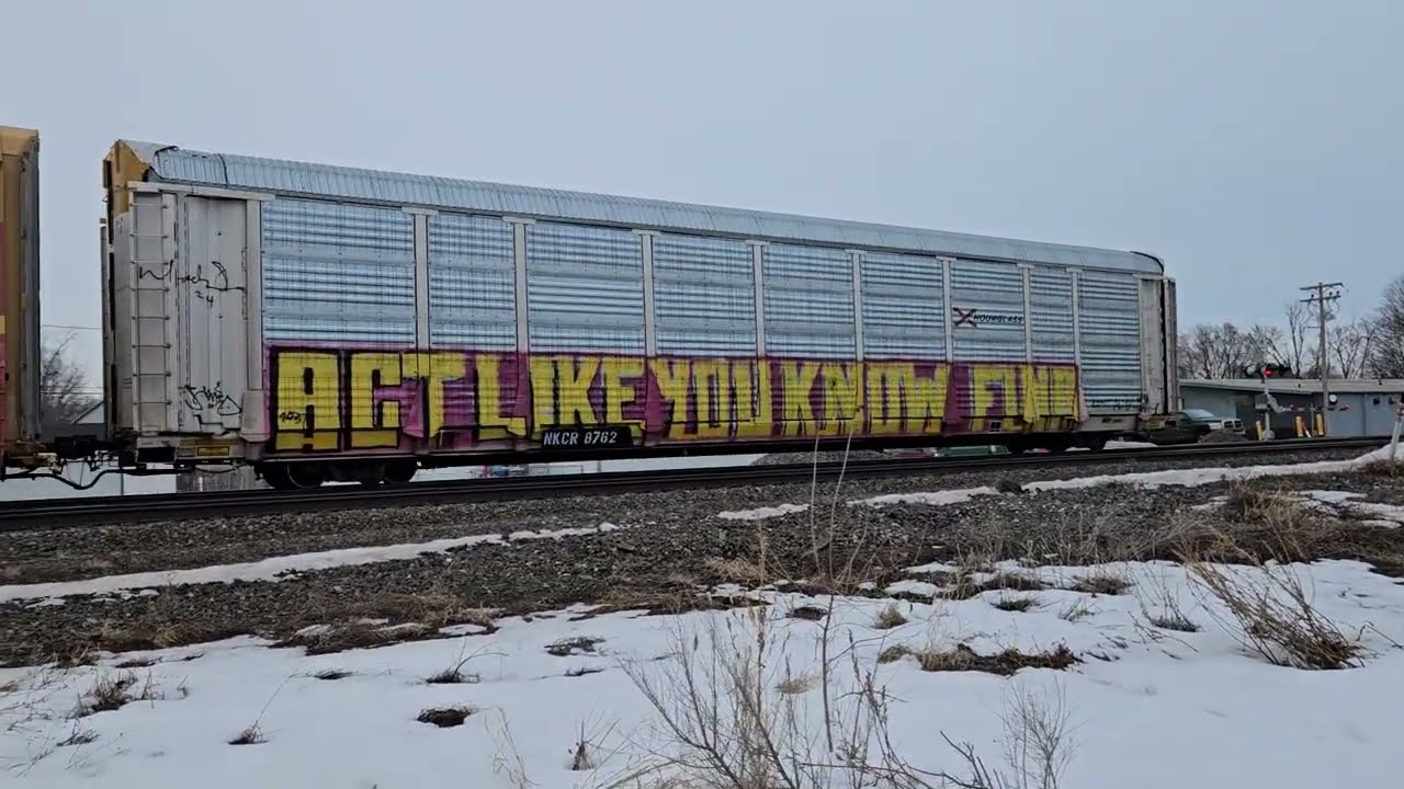 NS 31Q