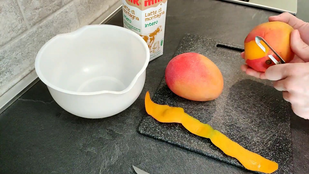 Making IceCream at home -  Gelatiera Konig HF250