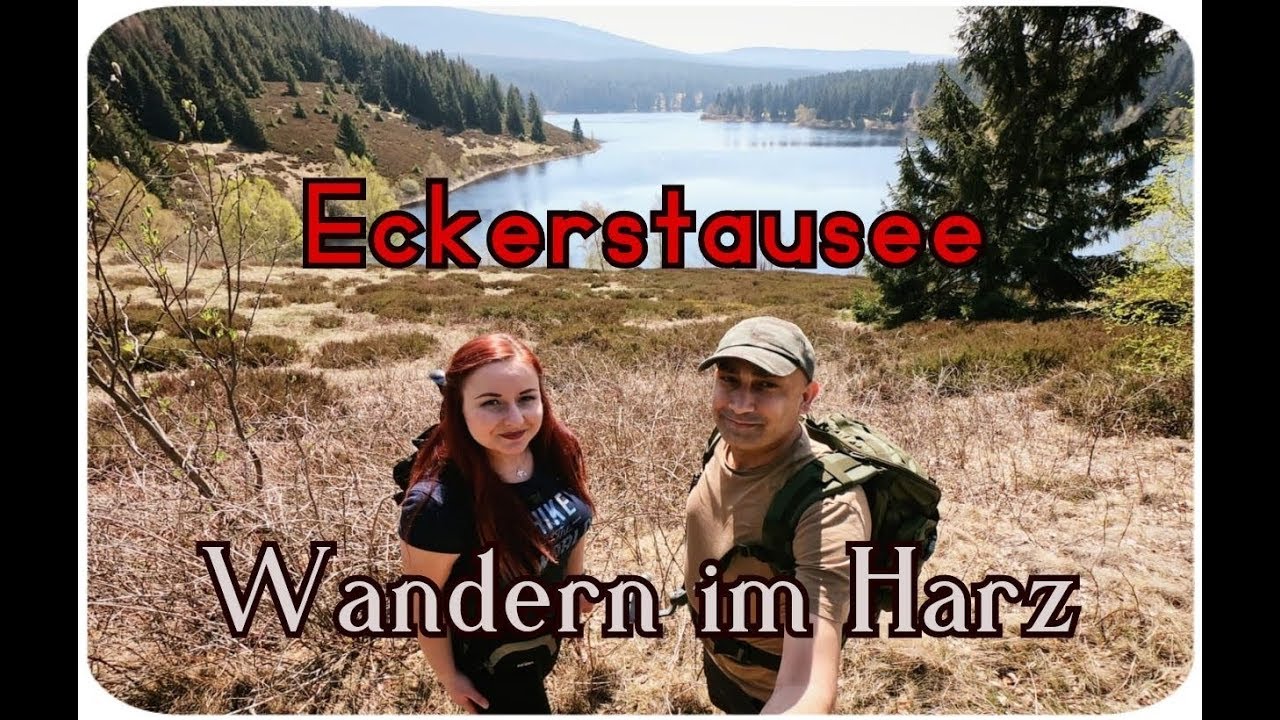 Wandern im Harz: Rundweg Eckerstausee / Eckertalsperre
