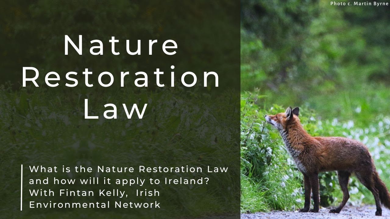 Nature Restoration Law introduction with Fintan Kelly