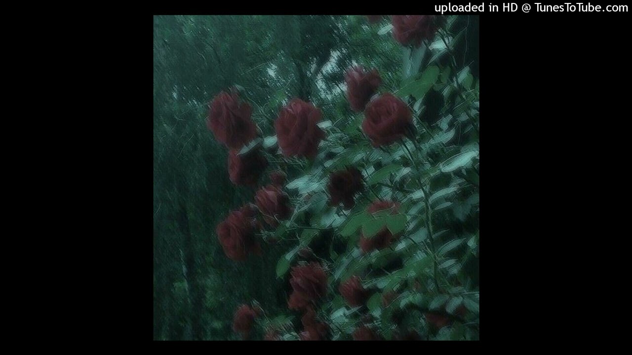 free emotional dream type beat (prod. askuic)