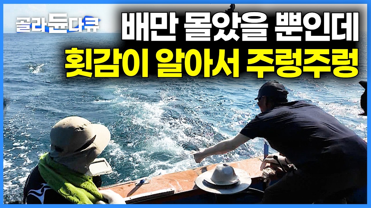 바로 회 먹으러 가자. 집에 가는 뱃길에 횟감 고기 두둑이 잡아 가는 선장님 ｜대나무 삼치잡이｜PD로그｜#골라듄다큐