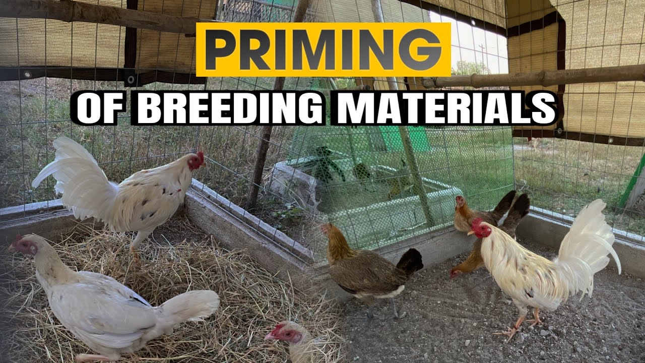 Priming of Breeding Materials
