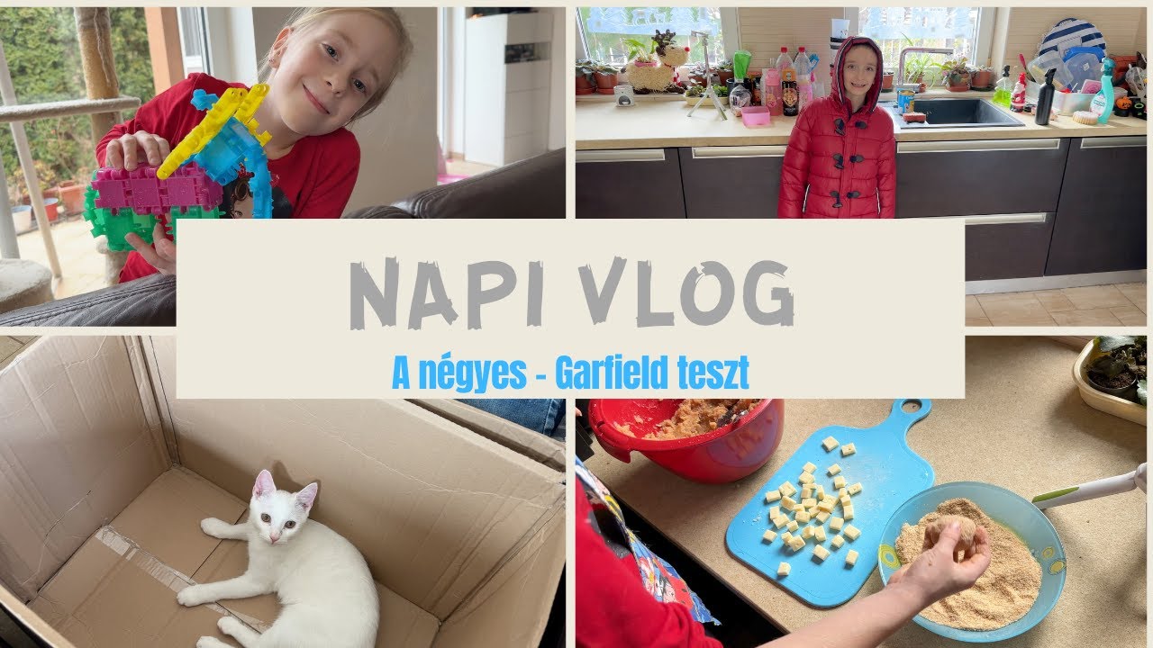 NapiVlog (febr.1.)  A négyes - Garfield teszt