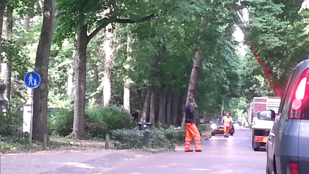 Zomer/Summer in Holland 2015-14: Zomerstorm:Boom-Werk op hoogte/  Summerstorm /  29 July 29th