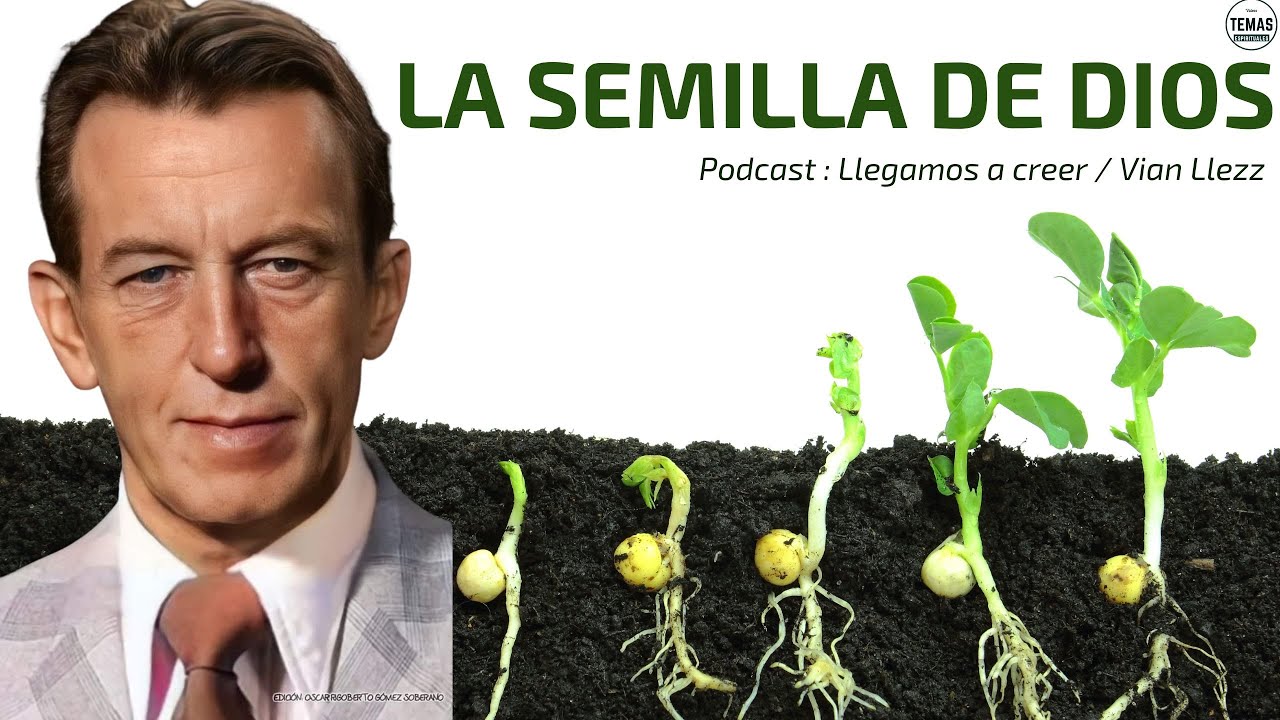 La semilla de DIOS / P. Vian / Llegamos a Creer / #podcast