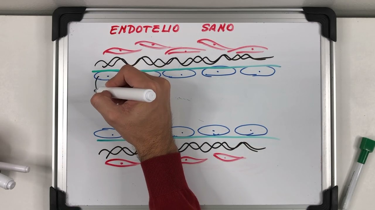 HEMOSTASIA Y COAGULACIÓN SANGUÍNEA