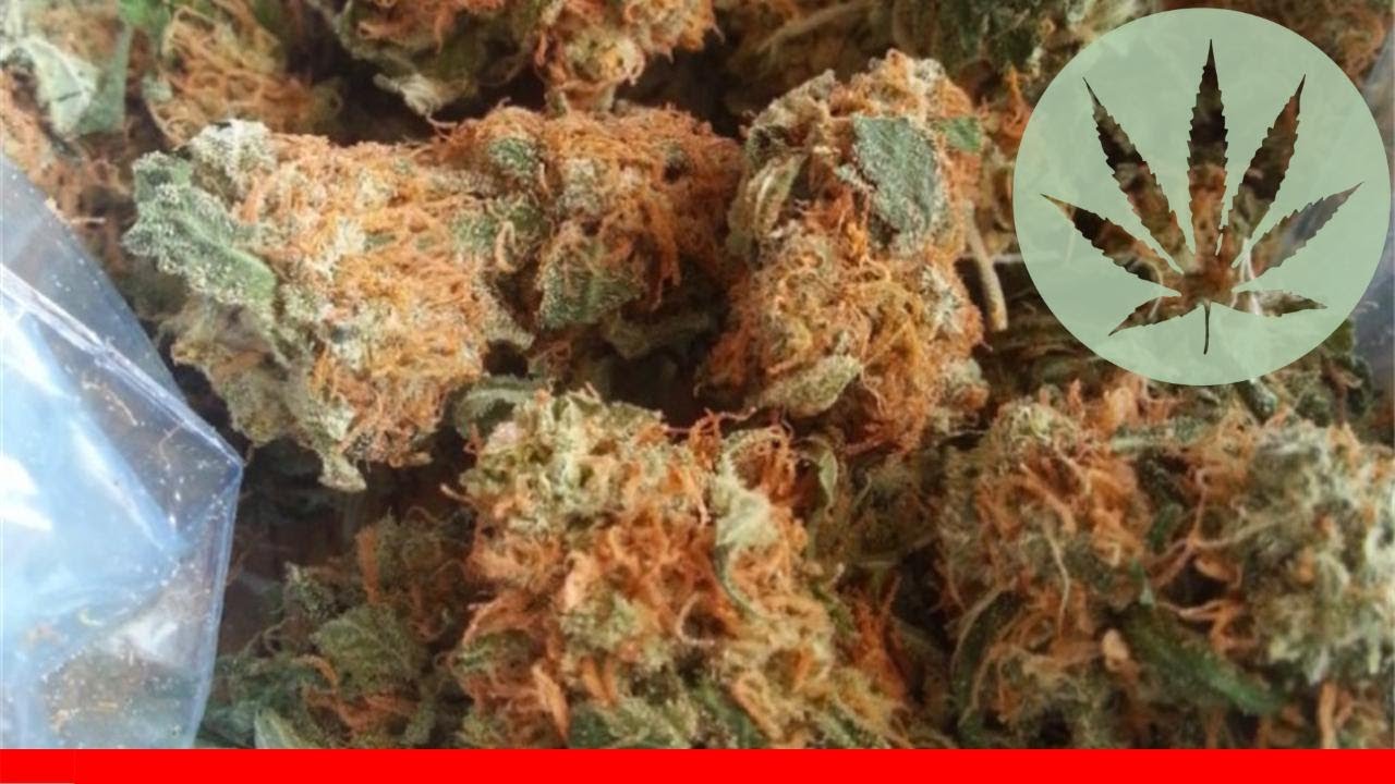 California Orange - All About This Strain