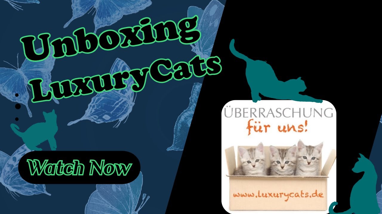 Unboxing! I 🐈LuxeryCat 🐈 I Lohnt sich dieses Box?