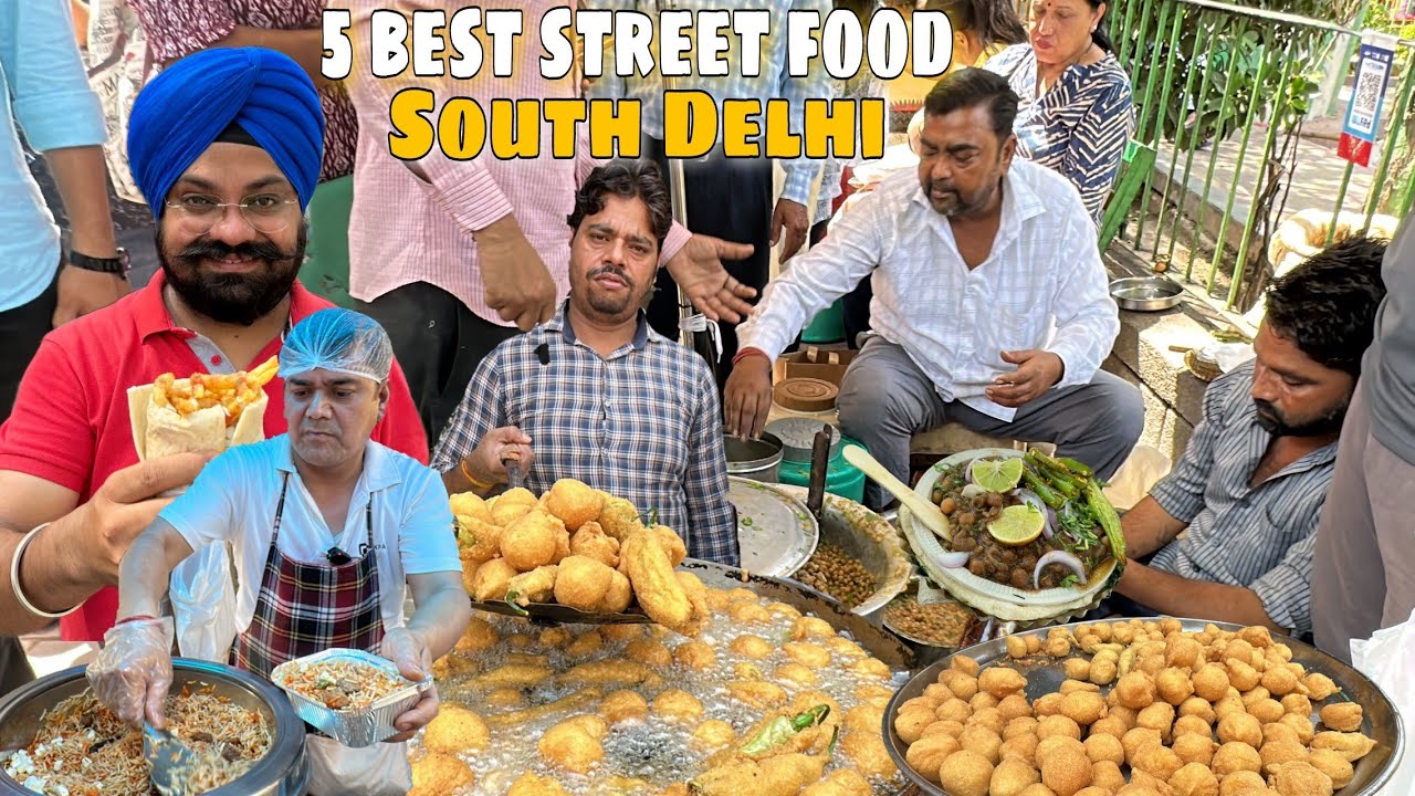 Top 5 Famous street food in South Delhi 😍 | Dolma Aunty Momos , Ram Ladoo, Afghani Burger