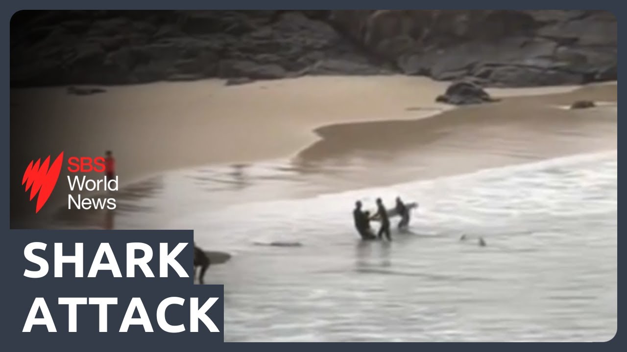 Teenager attacked by shark at Cabarita Beach