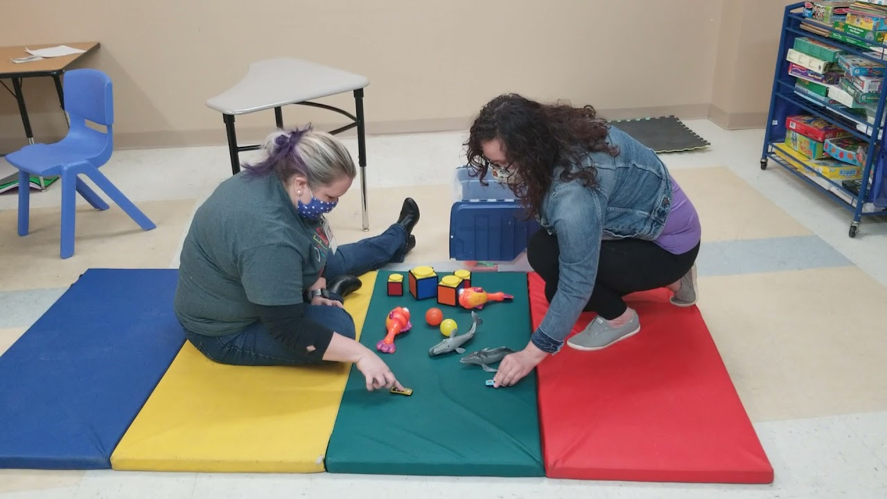 Reciprocal Imitation Training