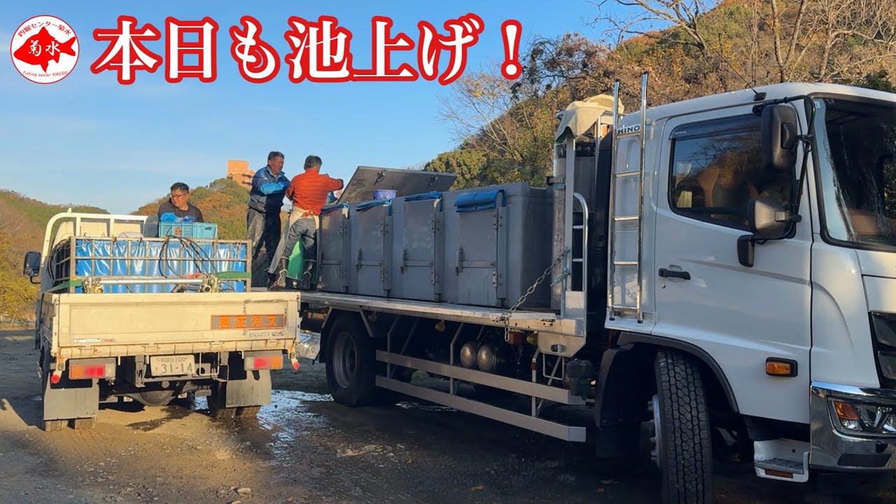 釣堀　菊水　本日も池上げ！今年も菊水の美へらが全国に！！