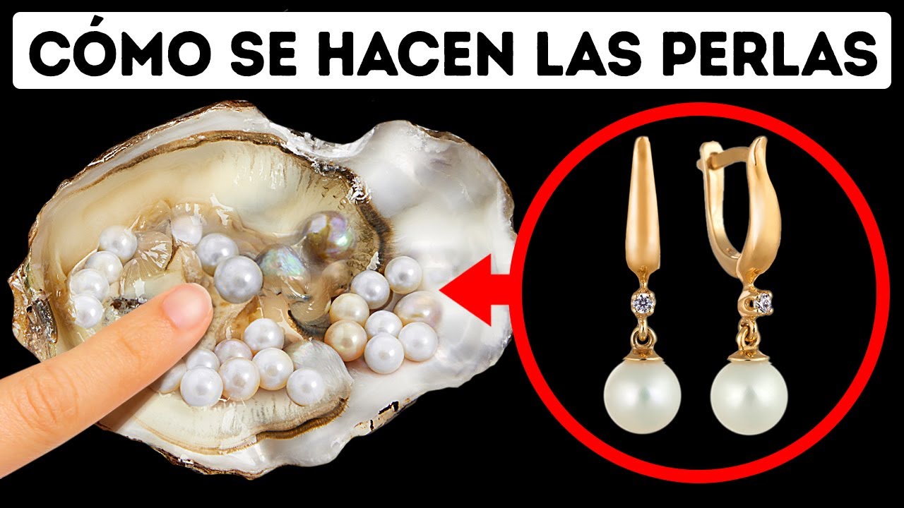 Las ostras hacen perlas para sobrevivir, he aquí el porqué