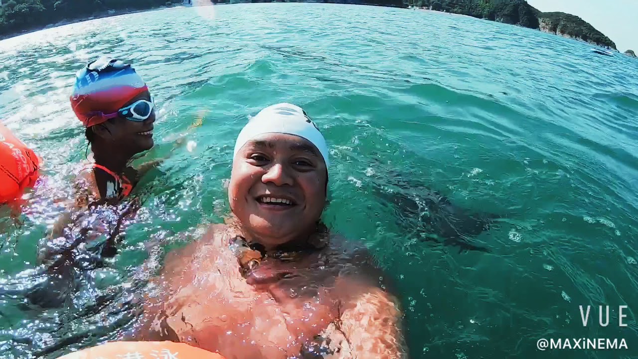 Protect Dave the Wonder Dolphin of Hong Kong