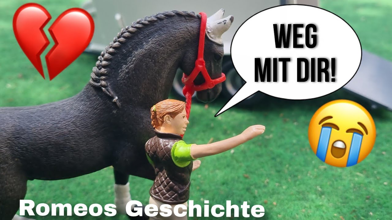 Die traurige Geschichte eines Voltigierpferdes namens Romeo💖